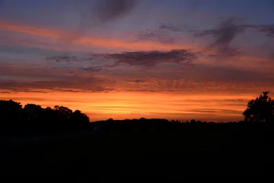 DSC_2183 (Large).JPG